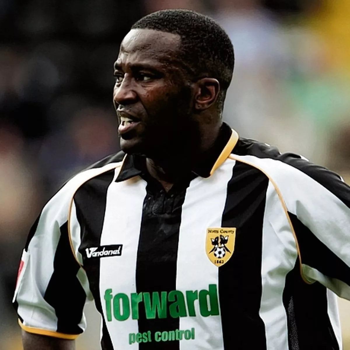 Notts County Home Shirt 2008 / 2009 XL